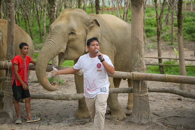 1-Hour Guided Khaolak Elephant Sanctuary Observation Tour - Pickup Details