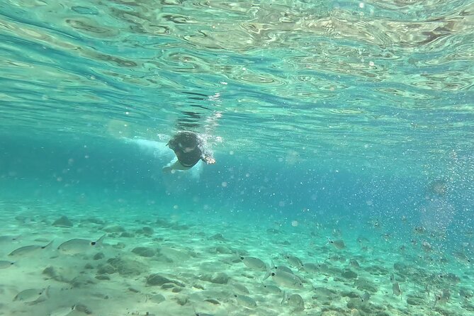 1-Hour Guided Snorkeling Adventure With Go Pro Pictures - Cancellation Policy and Guidelines