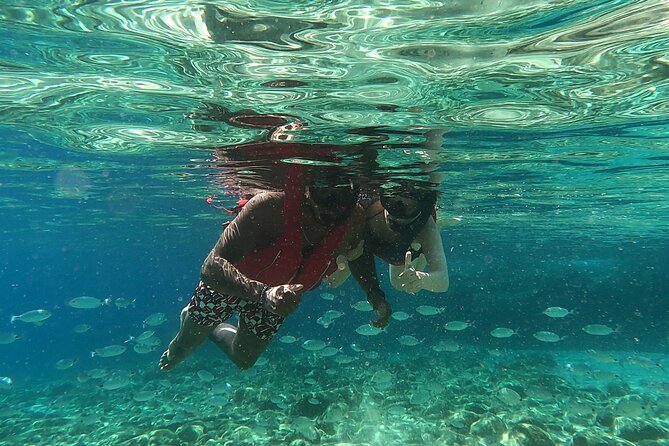 1-Hour Guided Snorkeling Adventure With Go Pro Pictures - Common Questions