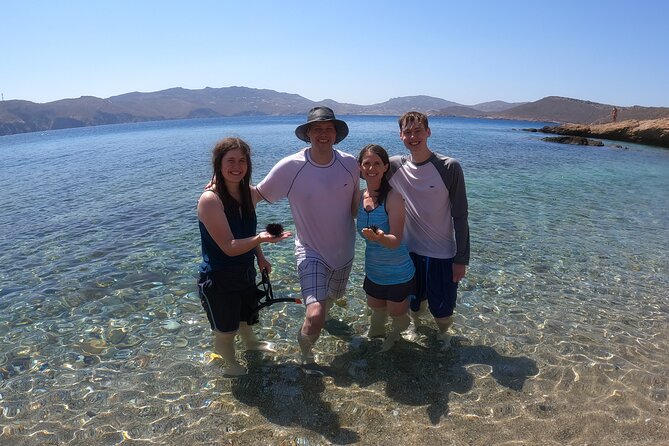 1-Hour Guided Snorkeling Adventure With Go Pro Pictures - The Sum Up