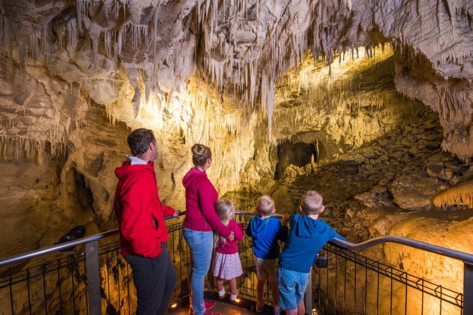 1-Hour Guided Tour of Aranui Cave Waitomo - What To Expect