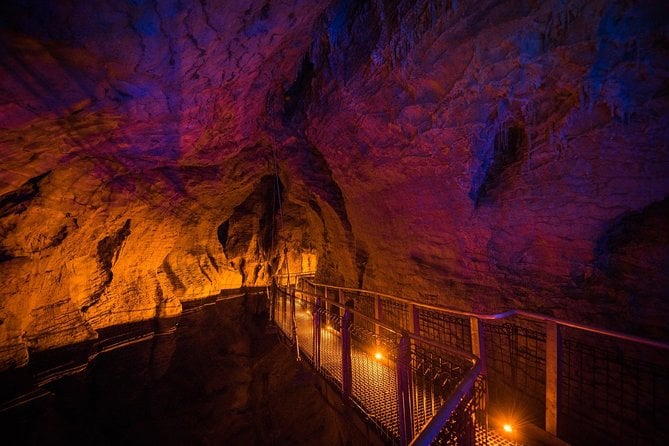 1-Hour Guided Tour of Aranui Cave Waitomo - Common Questions