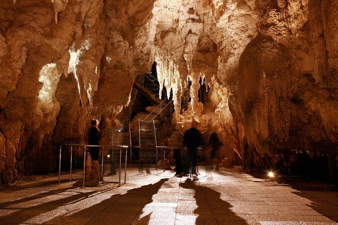 1-Hour Guided Tour of Aranui Cave Waitomo - The Sum Up