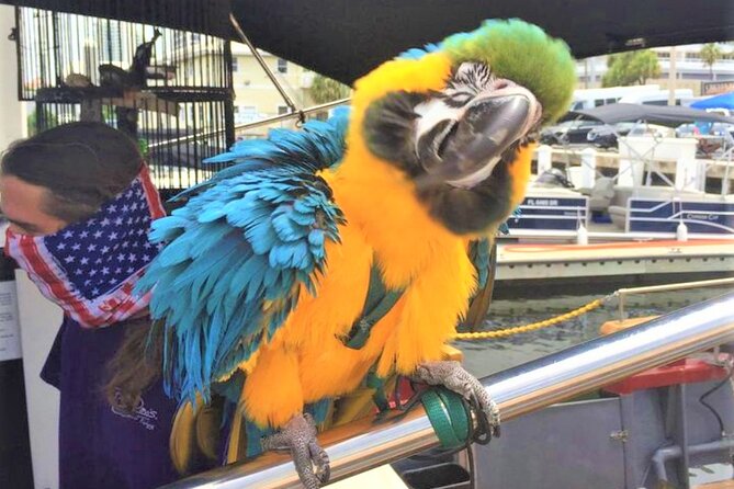 1-Hour Interactive Pirate Cruise in Ft. Lauderdale (Arrive 30 Minutes Early) - Recommendations