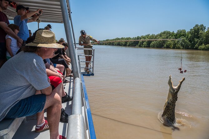 1 Hour Jumping Crocodile Cruise on the Adelaide River - Overview and Experience