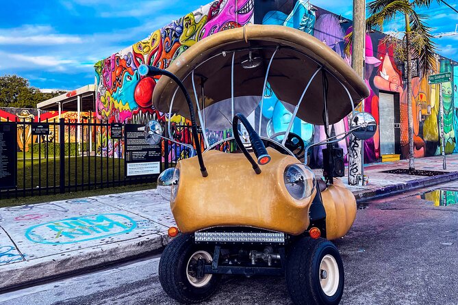 1 Hour Lady Buggy Art Tour Experience in Wynwood - Tour Duration and Admission
