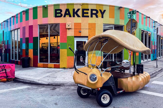 1 Hour Lady Buggy Art Tour Experience in Wynwood - Cancellation Policy