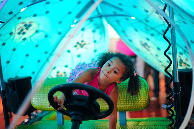 1 Hour Lady Buggy Art Tour Experience in Wynwood - Traveler Reviews and Ratings