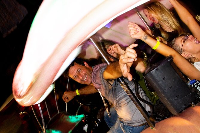 1 Hour Lady Buggy Art Tour Experience in Wynwood - The Sum Up