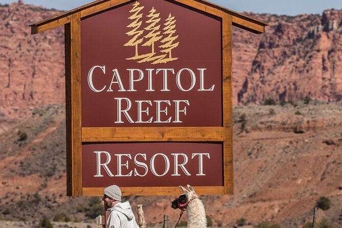 1-Hour Llama Hike Family Friendly and Fun - A Closer Look at the 1-Hour Llama Hike Experience