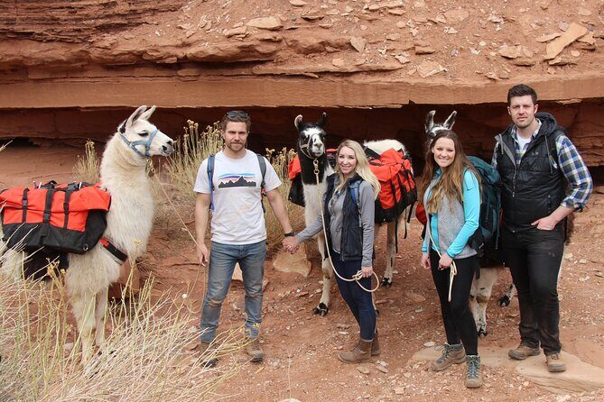 1-Hour Llama Hike Family Friendly and Fun - The Bottom Line: Is It Worth It?