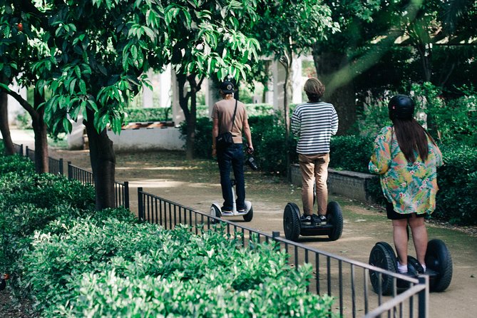 1 Hour Malaga Panoramic Segway Tour - Reviews and Traveler Feedback