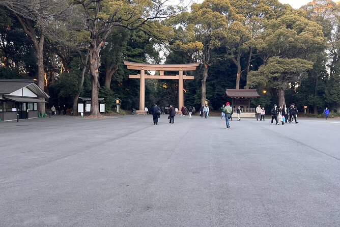 1 Hour Meiji Jingu Shrine Walking Tour in Harajuku - Additional Information