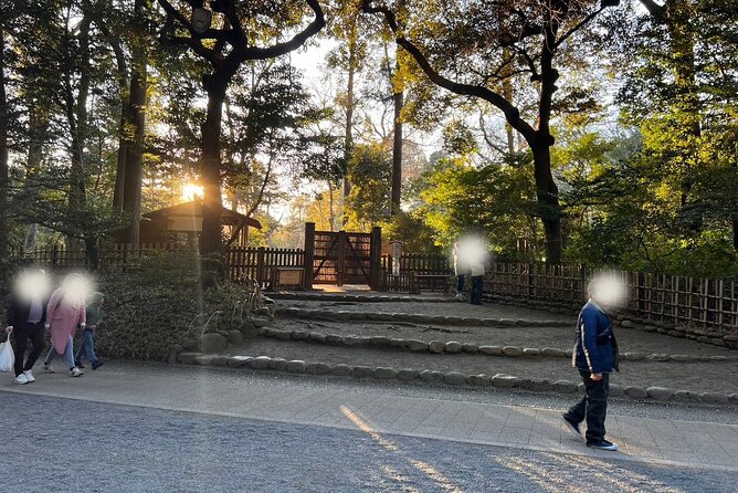1 Hour Meiji Jingu Shrine Walking Tour in Harajuku - The Sum Up