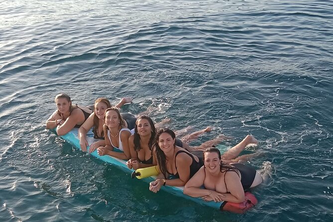 1 Hour Navigation Tour Dolphin Sighting - Dolphin Sighting Tour Details