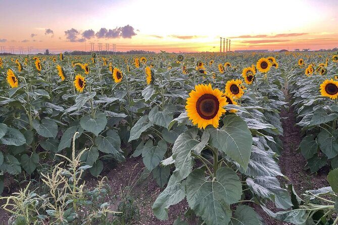 1 hour of ATV + 1 hour horse ride-- free videos and pictures - Final Thoughts: Is it Worth It?