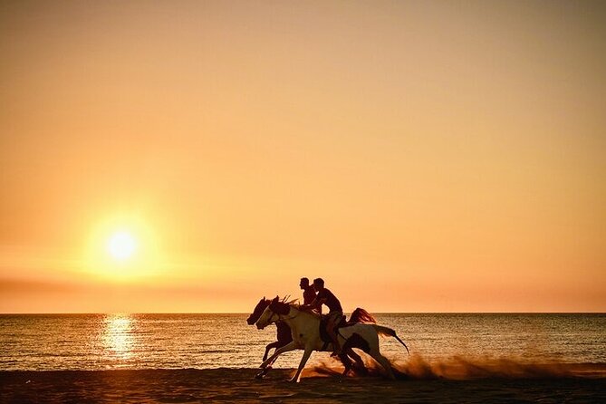 1 Hour of Horse Riding Experience by the Sea in Sharm El-Sheikh - Pickup Information