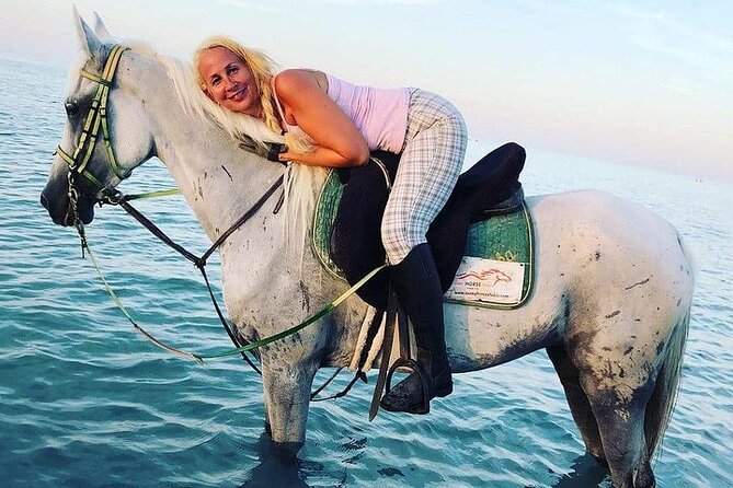 1 Hour of Horse Riding Experience by the Sea in Sharm El-Sheikh - Cancellation Policy