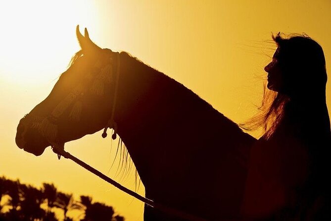 1 Hour of Horse Riding Experience by the Sea in Sharm El-Sheikh - Physical Requirements