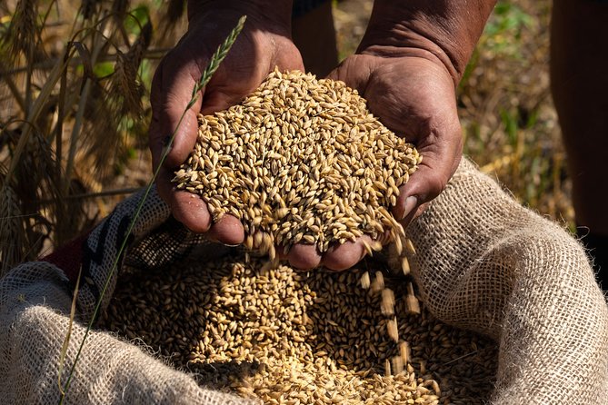 1 Hour of Whisky Distillery Experience - Traveler Photos and Reviews