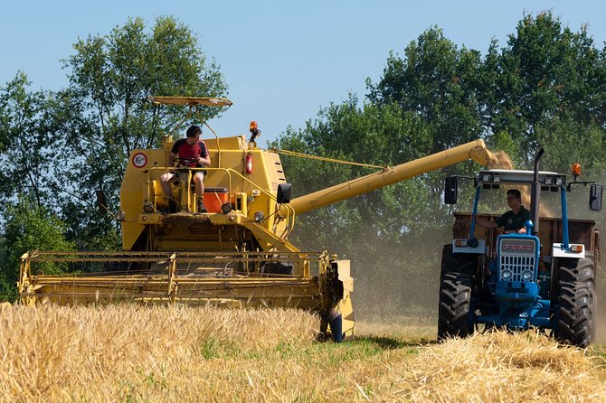 1 Hour of Whisky Distillery Experience - Common Questions