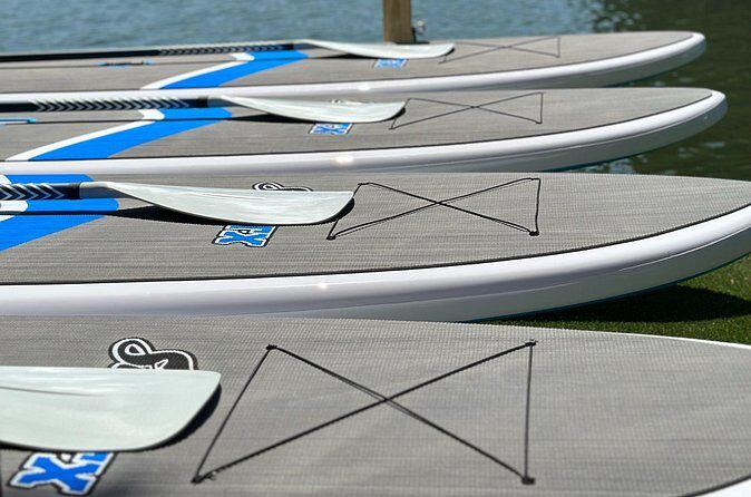 1 Hour Paddle Board Rental on Lake Austin Per Person - Analyzing the Cost & Value
