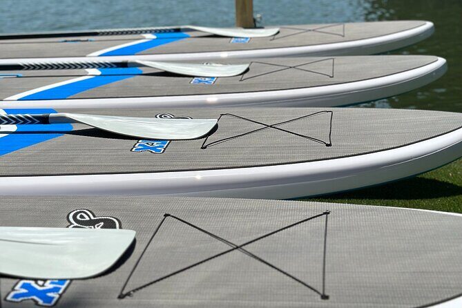 1 Hour Paddle Board Rental on Lake Austin Per Person - Who Will Love This Experience?