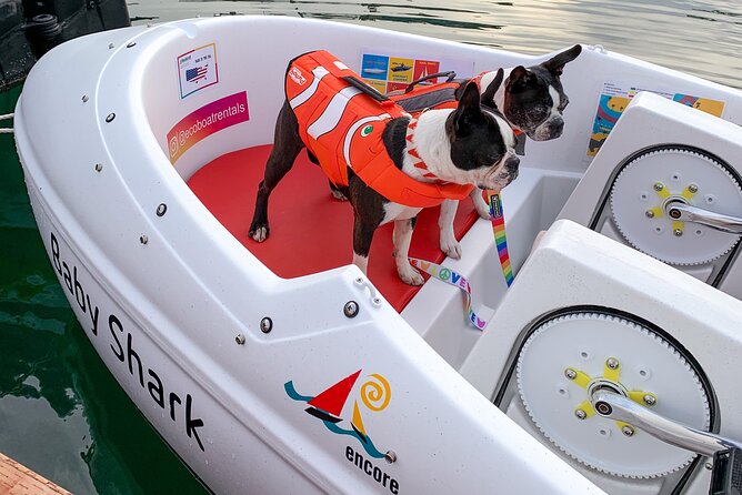1 HOUR Pedal Boat Day Rental or Glow Boat in San Diego-Check Time - Glow Boat Option