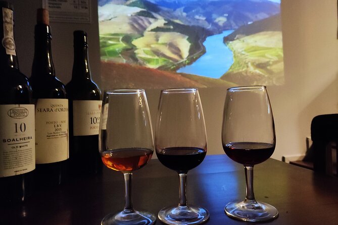 1 Hour Port Wine Class With Tasting in Touriga, Portugal - Overview and Experience