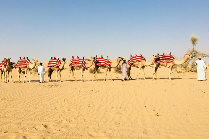 1 Hour Private Camel Ride in Deep Desert - Reviews and Ratings From Previous Travelers
