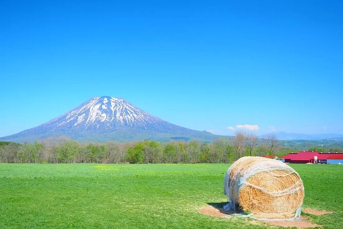 1 Hour Private Photoshoot in Niseko - Cancellation Policy and Refund Details