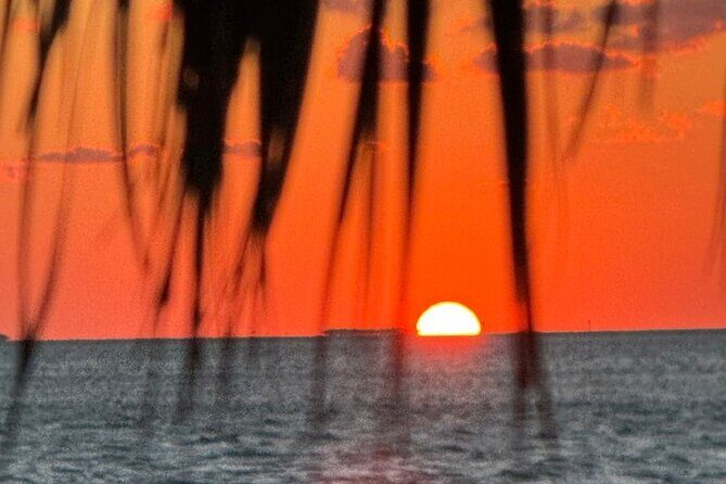 1 Hour Private Sunset Charter Islamorada Florida - Who Is This Tour Best For?