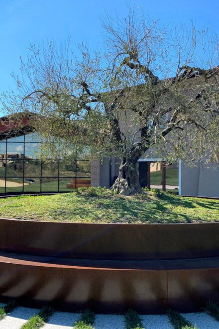 1-Hour Private Tour of the Oil Mill With Tasting - Tour Details