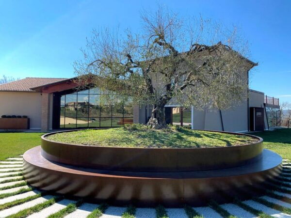 1-Hour Private Tour of the Oil Mill With Tasting - Top-Quality Olive Oil Tasting