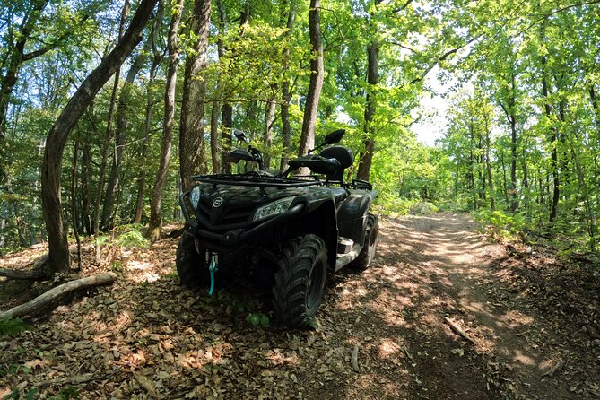 1-Hour Quad Activity in the Forests Around Rastoke & Plitvice Region - Inclusions