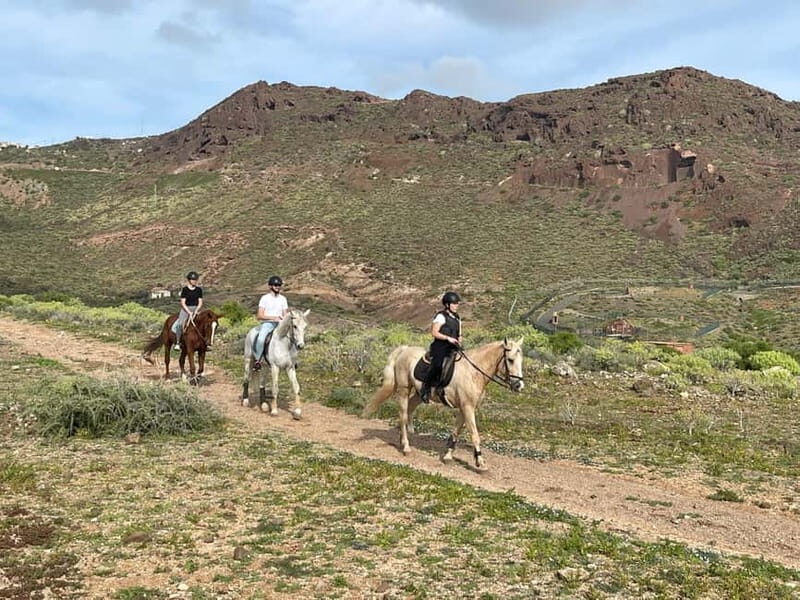 1 hour relaxing horse riding tour in Gran Canaria - A Closer Look at the Experience
