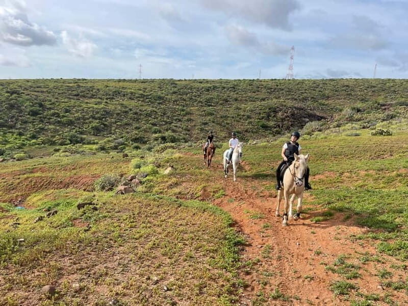 1 hour relaxing horse riding tour in Gran Canaria - Why This Tour Works Well for Certain Travelers