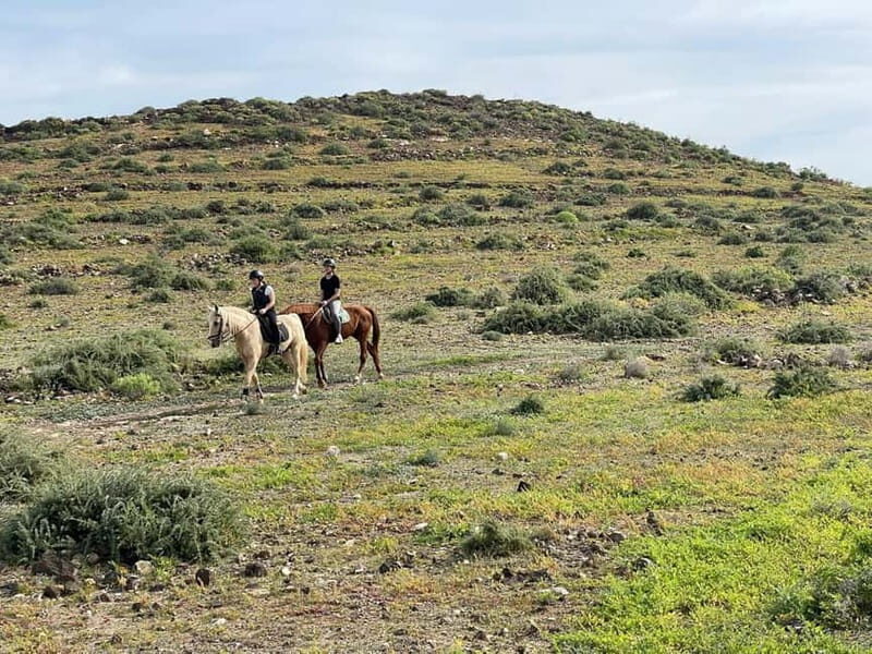 1 hour relaxing horse riding tour in Gran Canaria - Who Might Want More