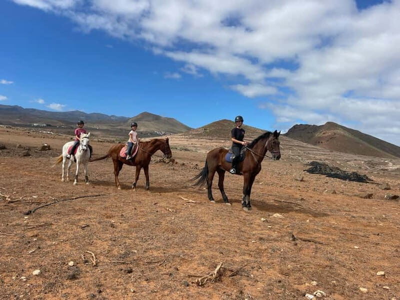 1 hour relaxing horse riding tour in Gran Canaria - Practical Tips for Your Ride
