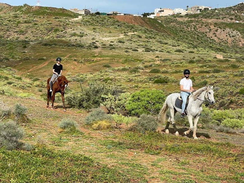1 hour relaxing horse riding tour in Gran Canaria - The Sum Up
