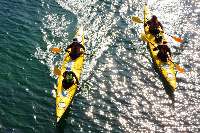 1 Hour Rental Deluxe Double Sea Kayak - Rental Inclusions