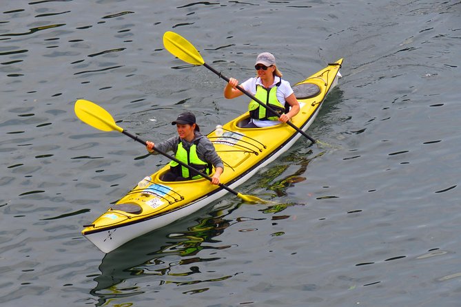 1 Hour Rental Deluxe Double Sea Kayak - Meeting Point