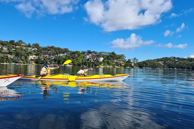 1 Hour Rental in a Deluxe Double Sea Kayak - Accessibility