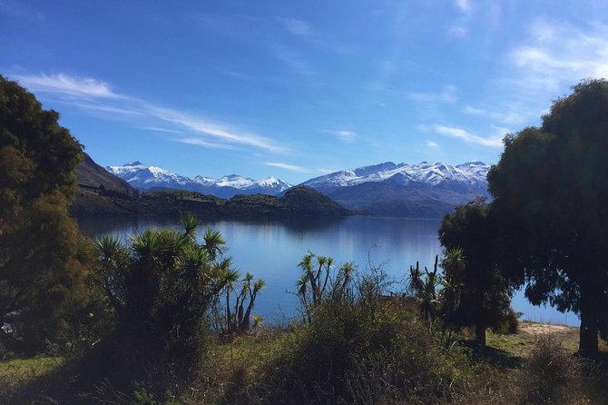 1-Hour Ruby Island Cruise and Walk From Wanaka - The Sum Up
