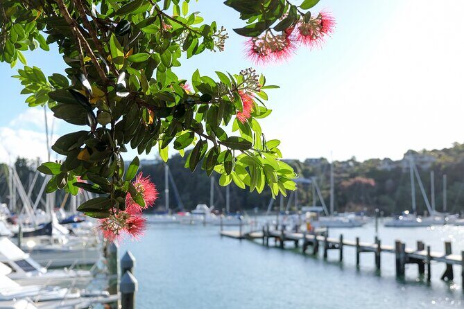 1 Hour Scenic Bay of Islands Tour - What’s Included and What’s Not