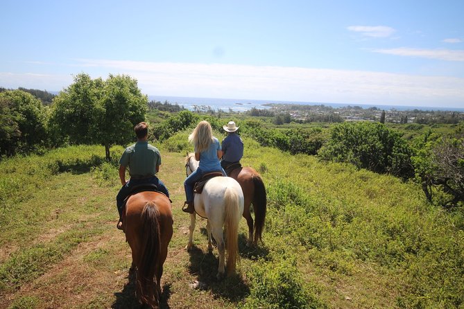 1 Hour Scenic Horseback Ride - Overview