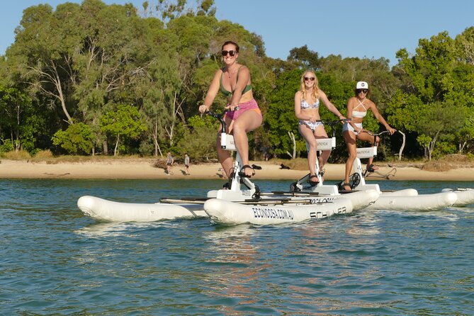 1 Hour Self Guided Water Bike Tour of the Noosa River - Full Refund Policy