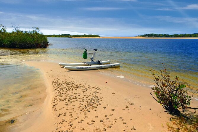 1 Hour Self Guided Water Bike Tour of the Noosa River - Traveler Photos and Reviews