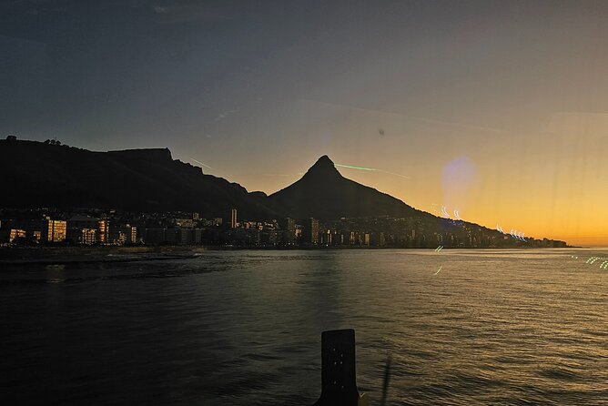 1 Hour Shared Boat Cruise in Cape Town Waterfront - Traveler Experience