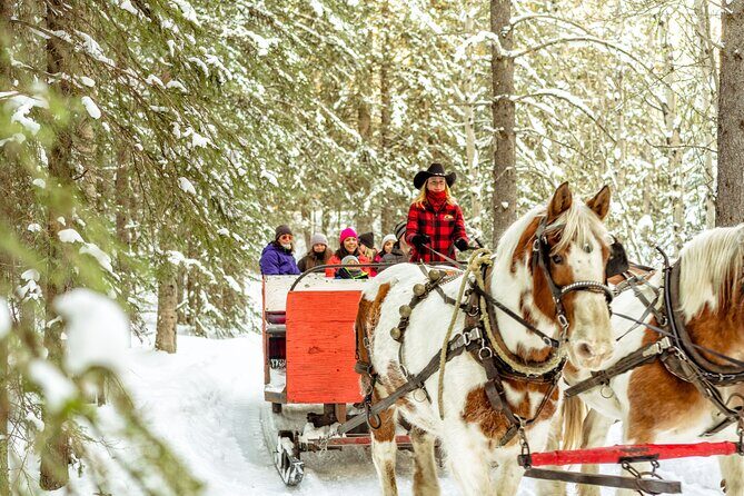 1 Hour Shared Winter Sleigh Ride Experience in Kananaskis - Good To Know